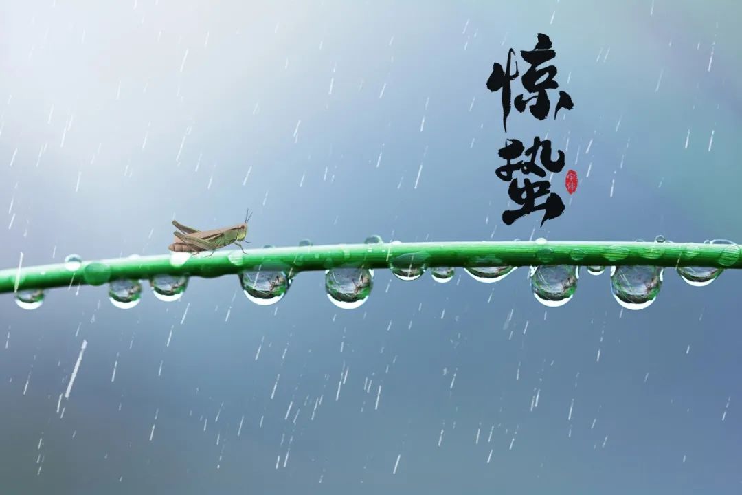 惊蛰诗句古诗大全（惊蛰最经典诗词） 第21张
