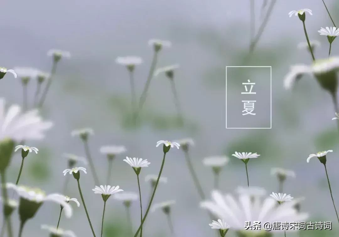 夏天的古诗有哪些（夏天诗句大全集） 第5张