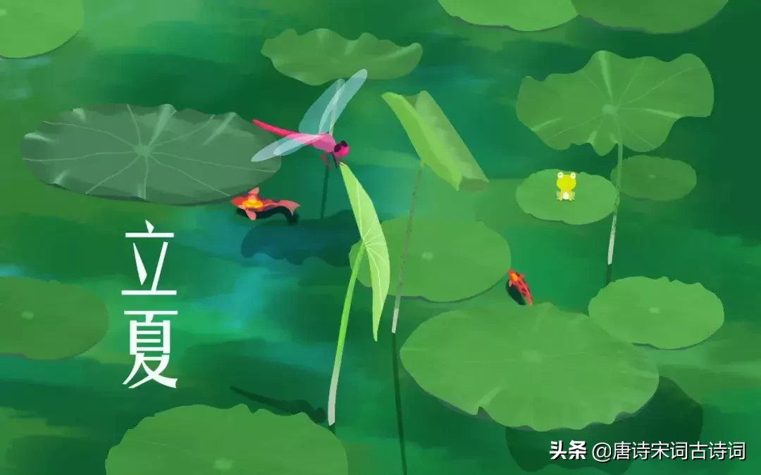 夏天的古诗有哪些（夏天诗句大全集） 第13张