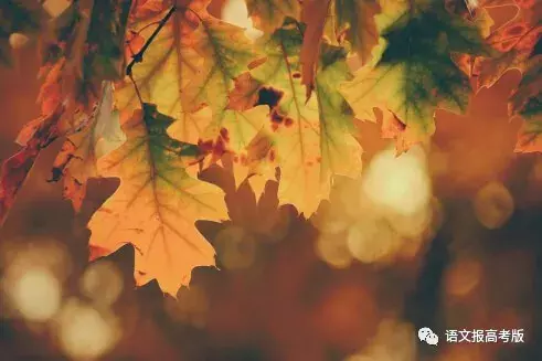 百步九折萦岩峦的上一句（蜀道难全文欣赏） 第5张