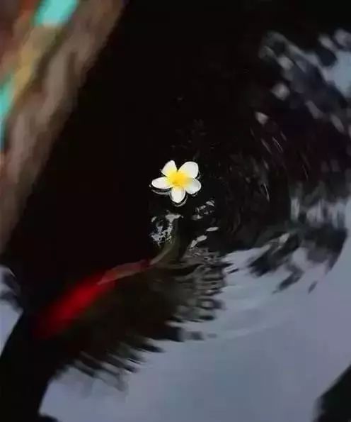 雨水节气的古诗有哪些（有关雨水的古诗欣赏） 第11张