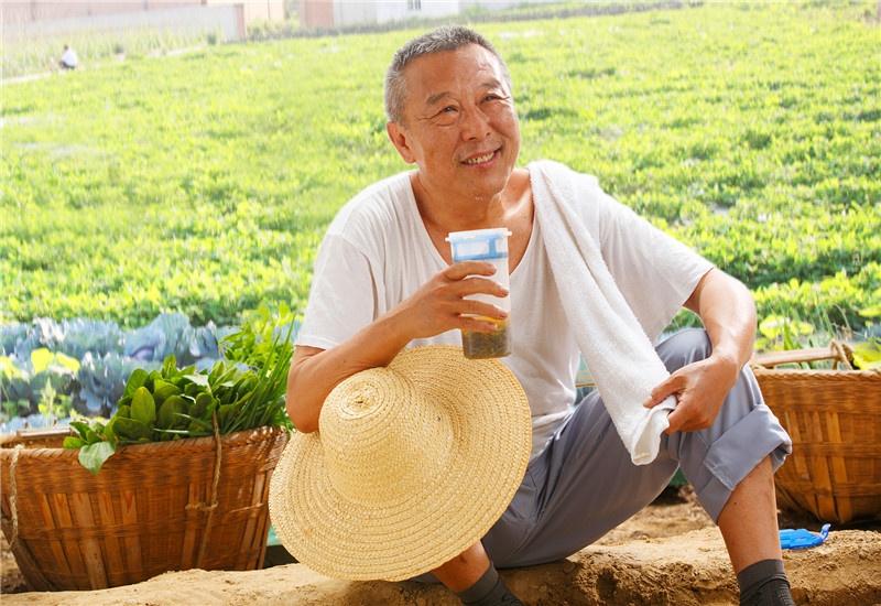 农村的蔬菜种植，有哪些品种能实现每亩收入一万元以上？推荐一些 第1张