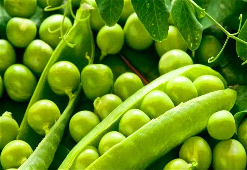 农村的蔬菜种植，有哪些品种能实现每亩收入一万元以上？推荐一些 第5张