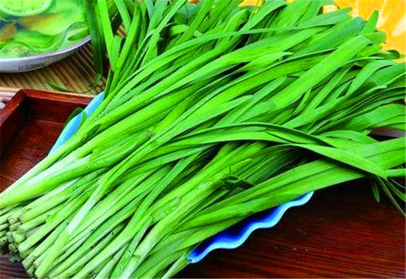 农村的蔬菜种植，有哪些品种能实现每亩收入一万元以上？推荐一些 第7张