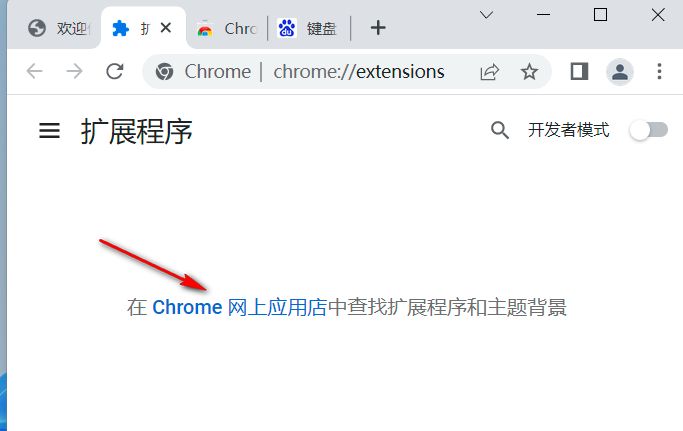 chrome浏览器怎么安装（手把手教你安装浏览器扩展） 第3张
