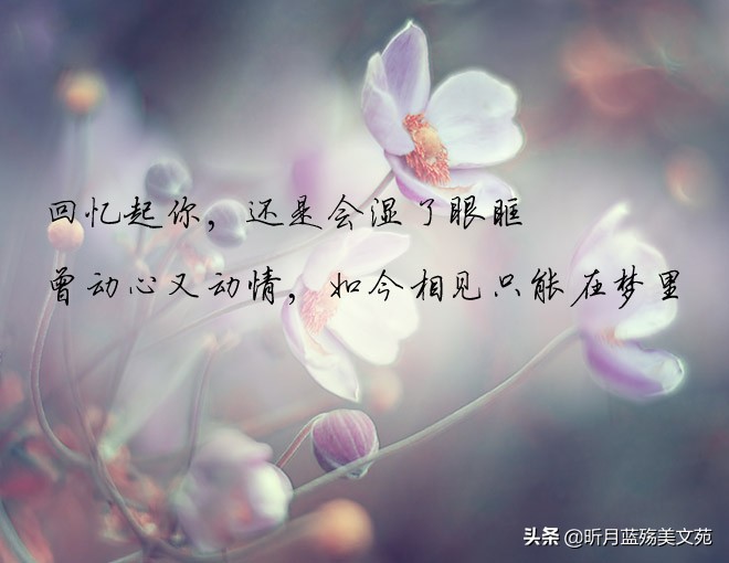默默牵挂一个人的说说图片（夜深想念人的短句） 第3张