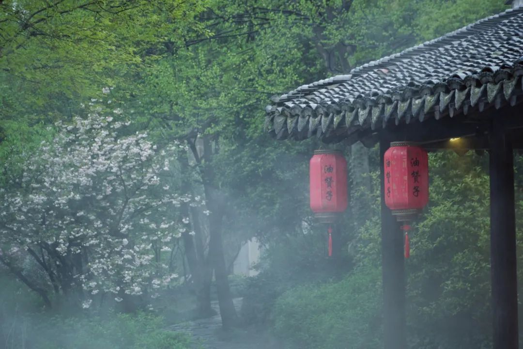描写雨的诗句有哪些（带有雨的诗句30首） 第7张