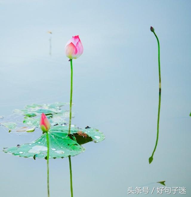 某人我想你了的说说（思念某某的唯美情话） 第11张