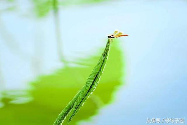 某人我想你了的说说（思念某某的唯美情话） 第17张