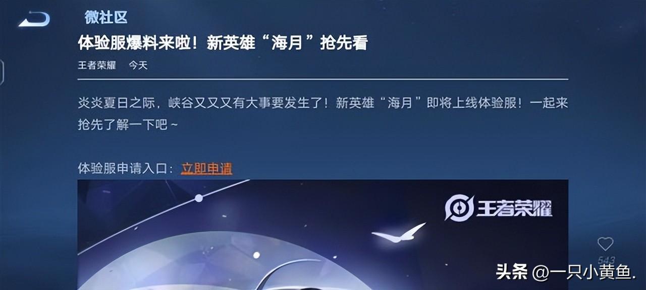 王者荣耀体验服下载方式（王者荣耀体验服申请方式） 第17张