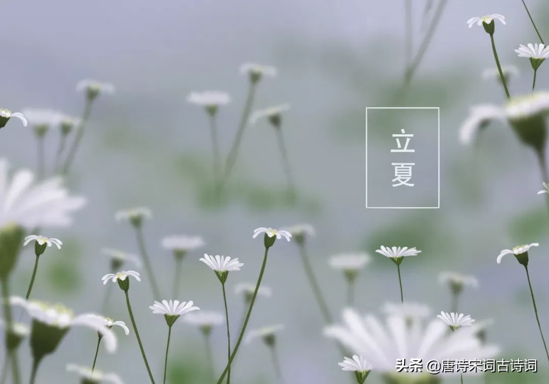 立夏的古诗大全（立夏的名篇佳句） 第3张