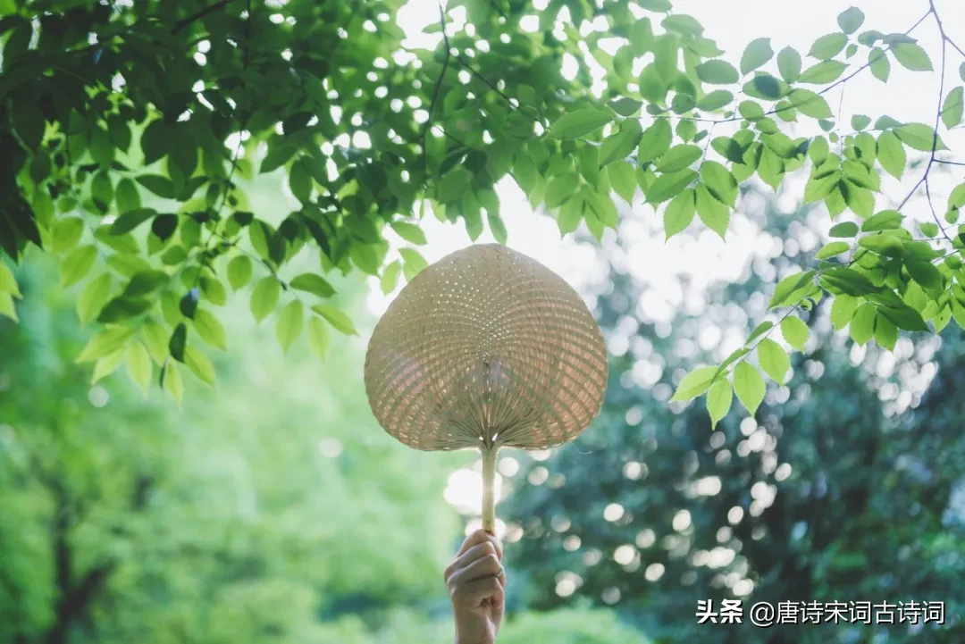 立夏的古诗大全（立夏的名篇佳句） 第7张