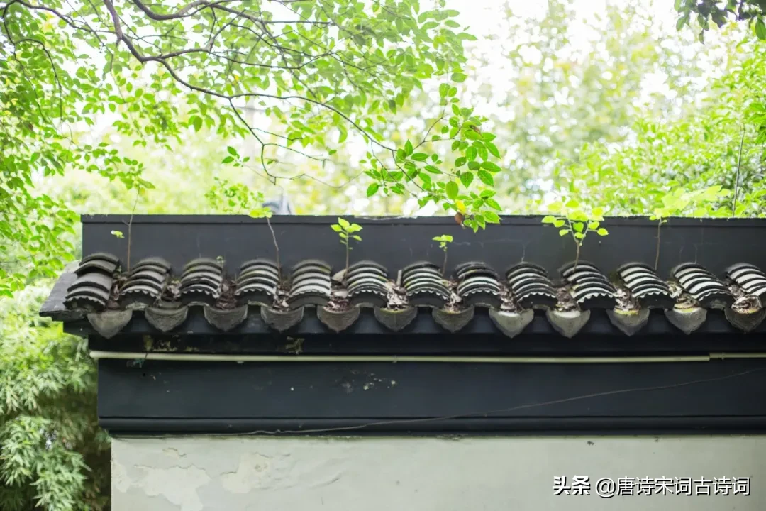 立夏的古诗大全（立夏的名篇佳句） 第9张