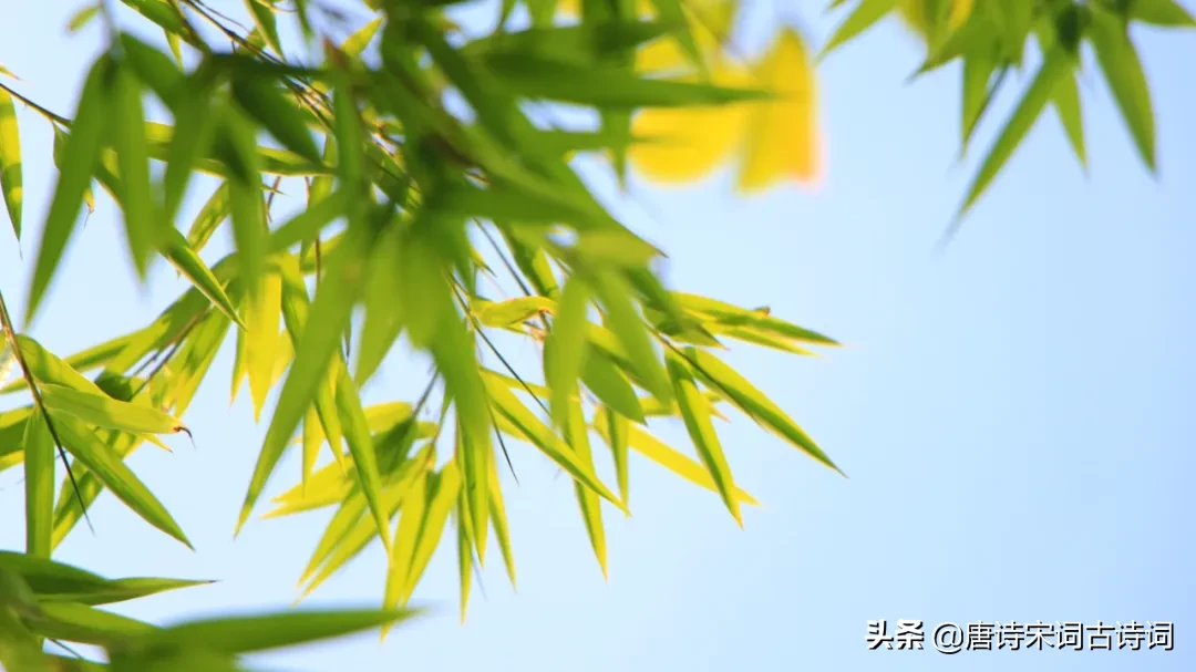 立夏的古诗大全（立夏的名篇佳句） 第15张