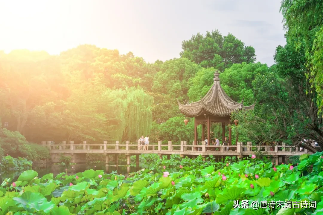 立夏的古诗大全（立夏的名篇佳句） 第17张