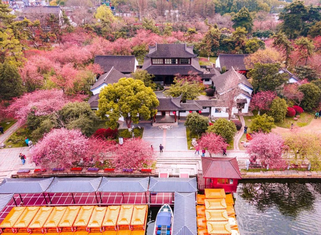 清明节诗词有些什么（关于清明节的诗词名句） 第21张