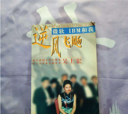 励志“打工女皇”：初中毕业就得白血病，奋斗12年成微软总裁 第17张