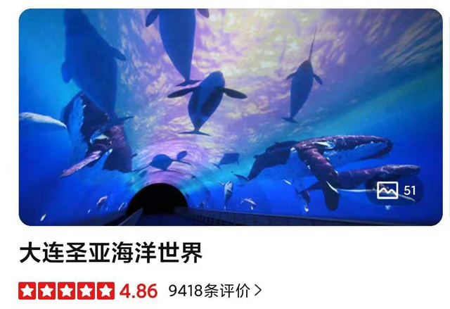 52只企鹅收入2000万！养鹅真能拯救上市公司吗？大连圣亚为保壳拼了！上万股民狂欢，监管火速问询 第3张
