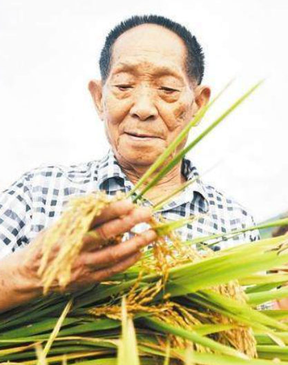 悲痛！袁隆平因多器官功能衰竭去世，享年91岁 第9张