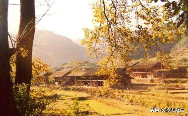 陆游秋思阅读答案（秋思全文赏析及诗意解读） 第5张