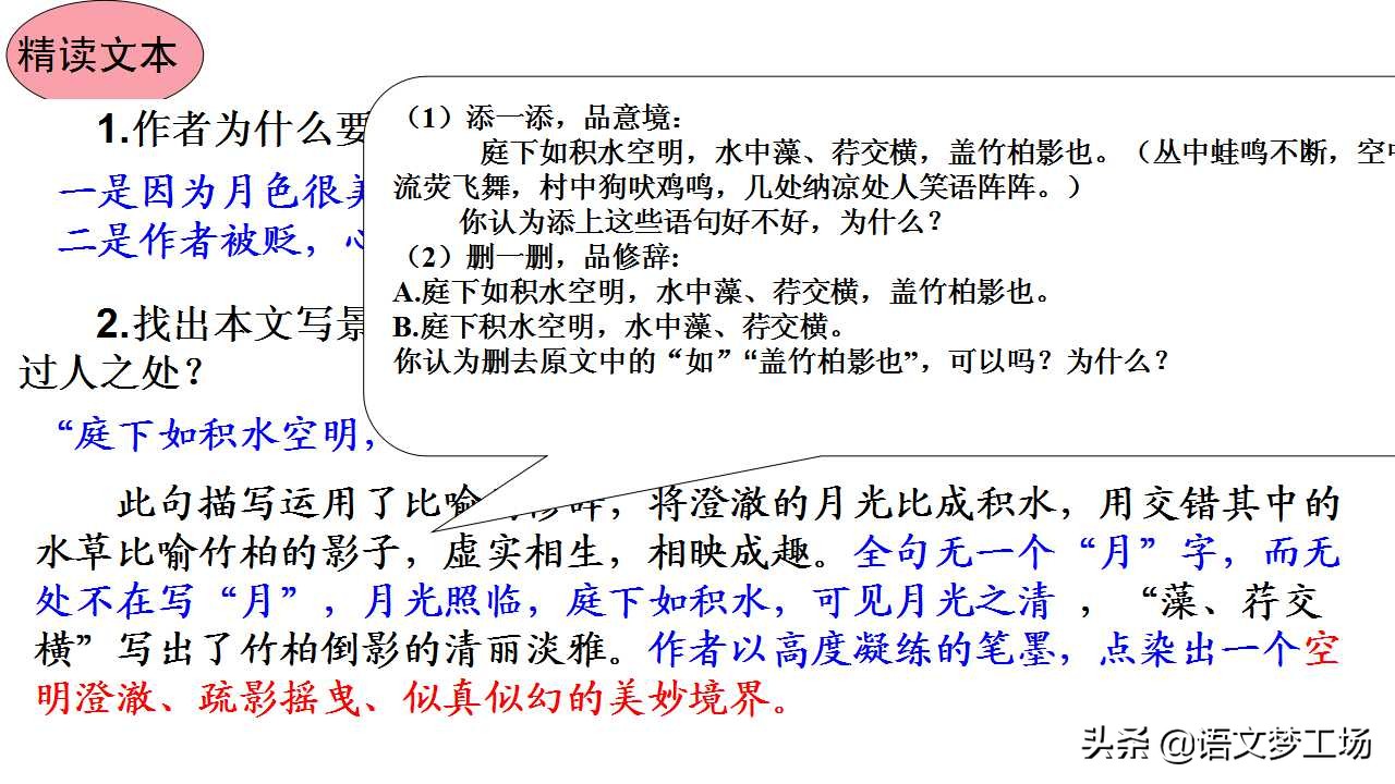 记承天寺夜游译文及注释（原文赏析及翻译） 第1张