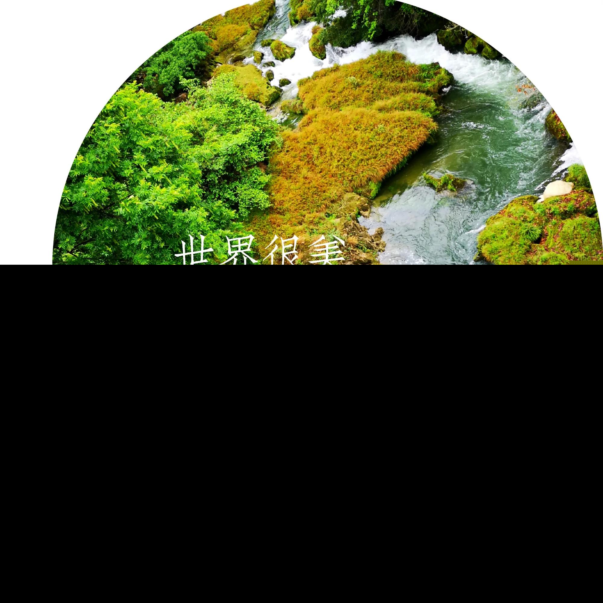 杜甫赠花卿翻译和赏析（赠花卿原文赏析及解释） 第1张