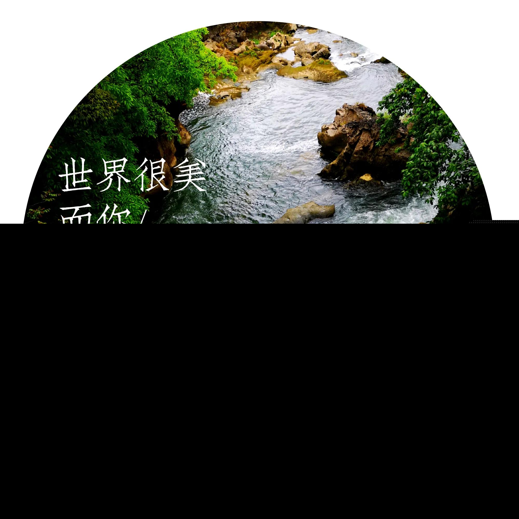 杜甫赠花卿翻译和赏析（赠花卿原文赏析及解释） 第9张