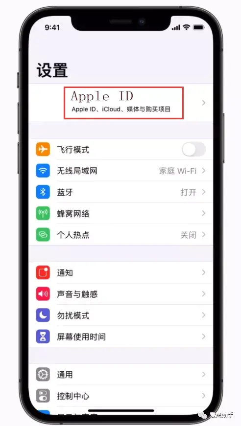 忘记 Apple ID 密码怎么办（解锁 Apple ID 密码的方法） 第1张