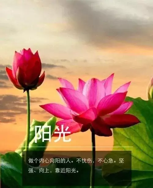朋友感恩相遇的唯美句子（送朋友的10条感恩语录） 第7张