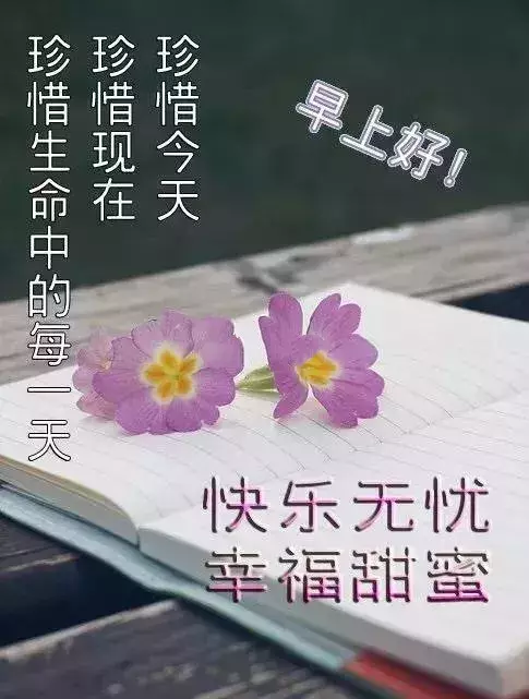 朋友感恩相遇的唯美句子（送朋友的10条感恩语录） 第9张
