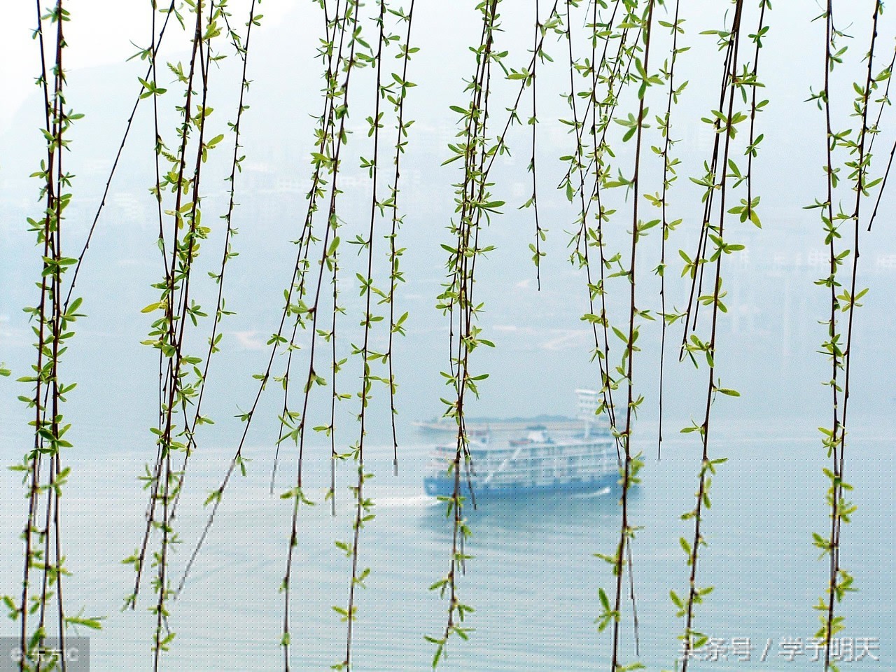 绝句带拼音的古诗有哪些（绝句诗文赏析及解释） 第5张