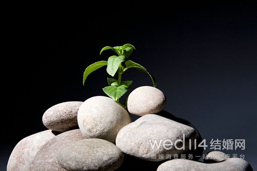 对婚姻失望想离婚说说图片（伤心欲绝的爱情说说） 第1张