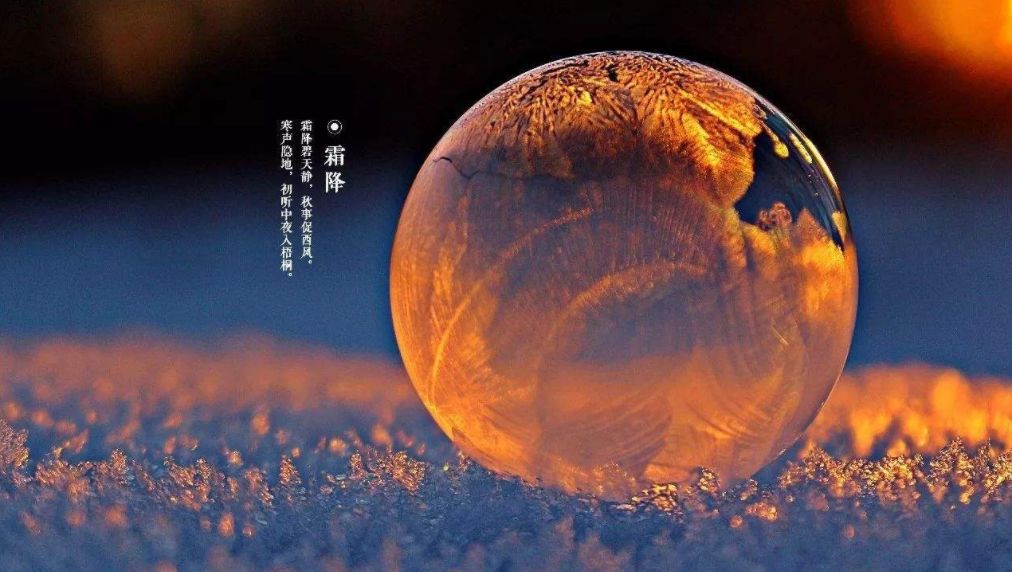 霜降的诗句有哪些（霜降古诗词经典） 第39张