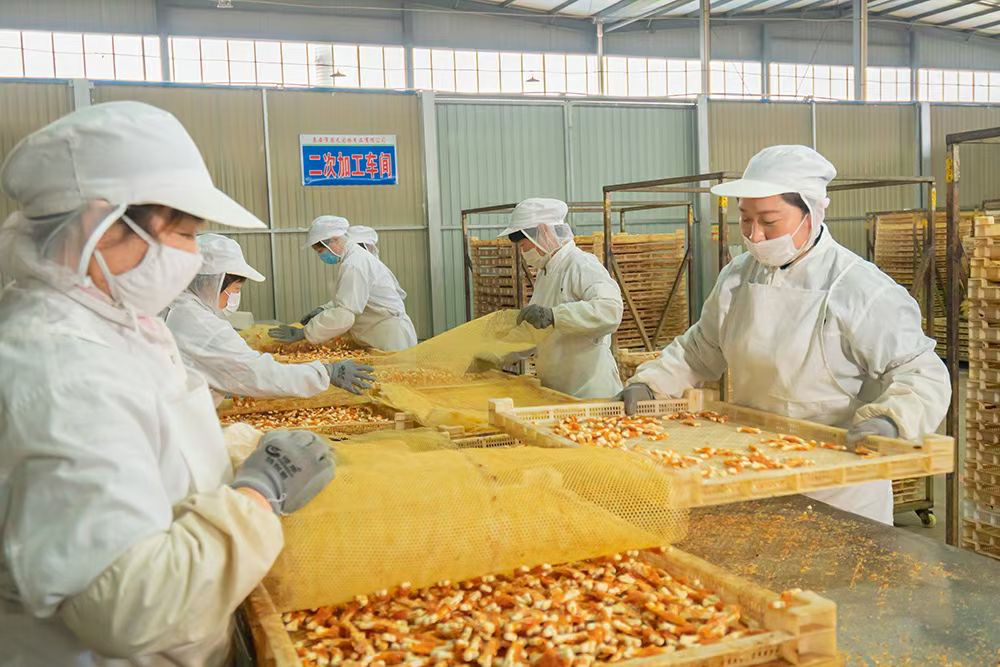 养宠氪金时代，236元的生日蛋糕只是低配？ 第7张