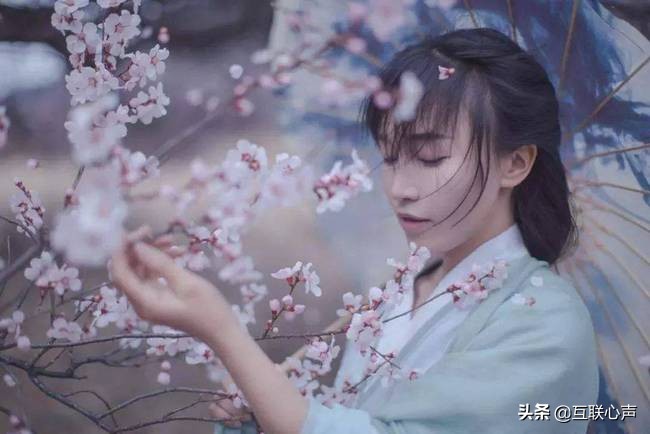 字节跳动投资李子柒，中视频再掀起波澜，“内容创业”几人知晓？ 第1张
