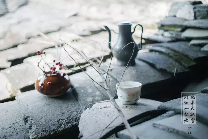 晚来天欲雪能饮一杯无全诗（关于描写冬天的诗句古诗） 第11张