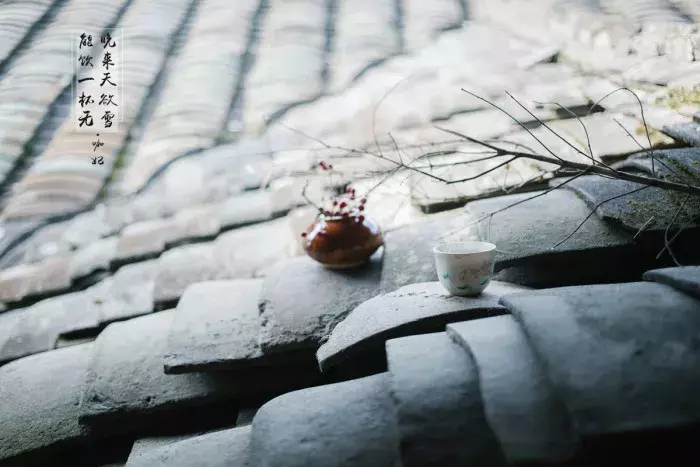 晚来天欲雪能饮一杯无全诗（关于描写冬天的诗句古诗） 第17张