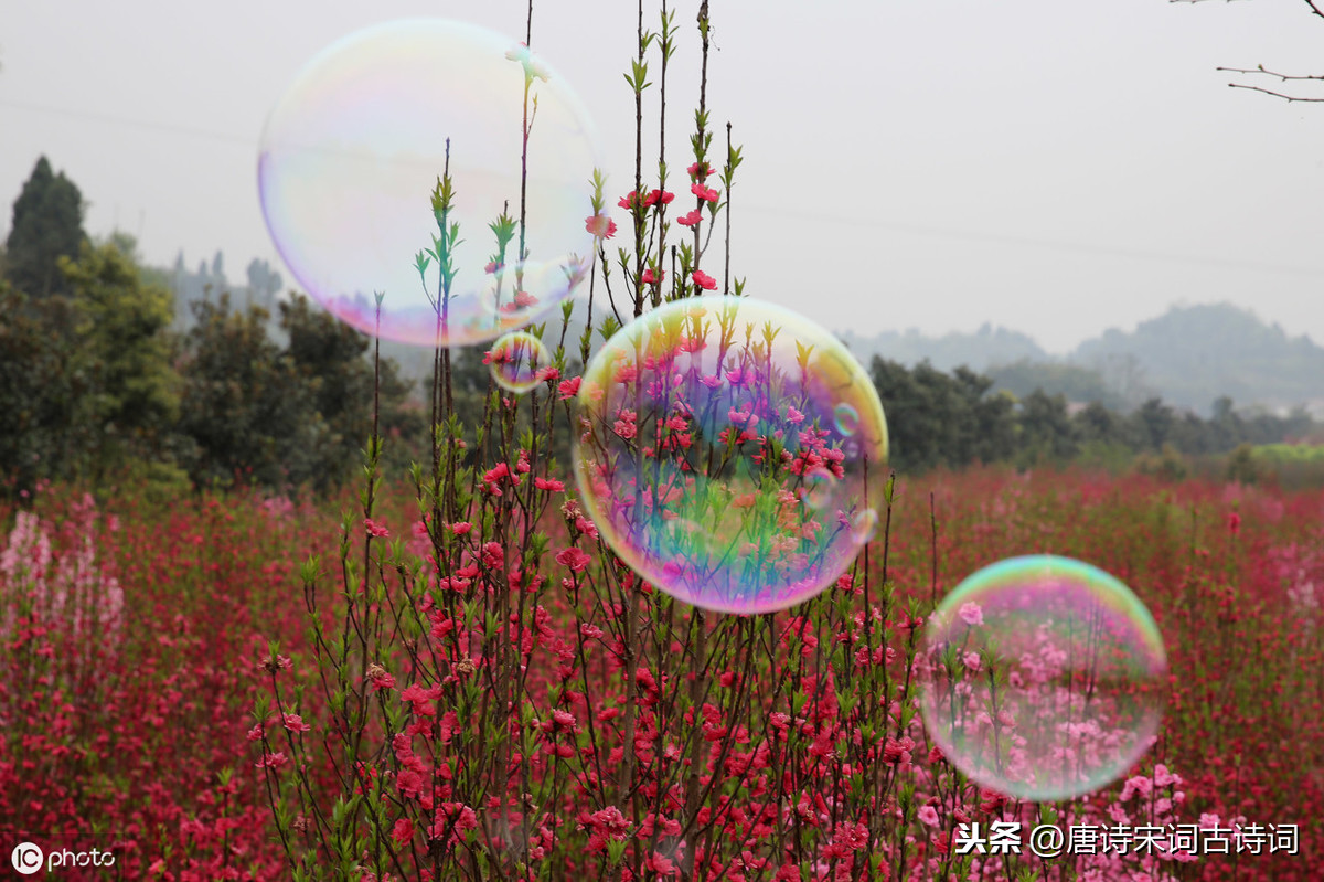 感恩的诗句有哪些（心存感恩的经典古诗词） 第3张