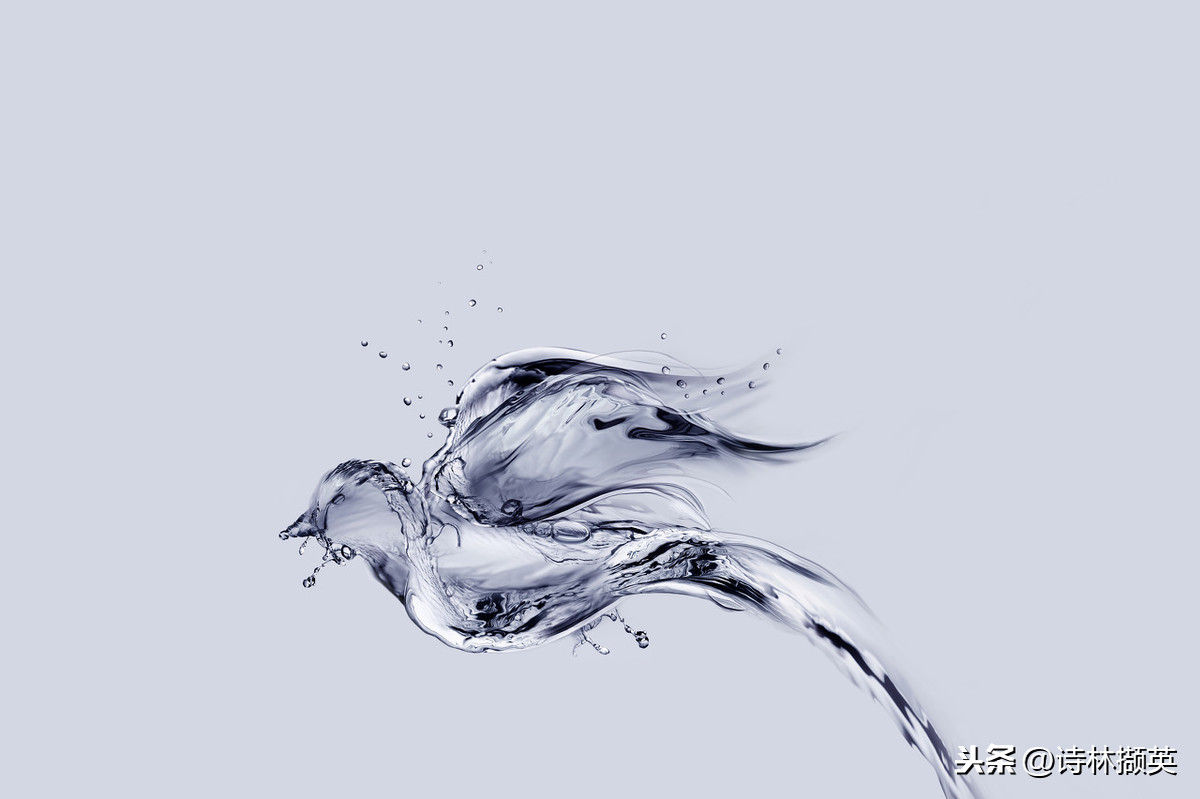 关于水的古诗有哪些（描写水的古诗名句） 第11张
