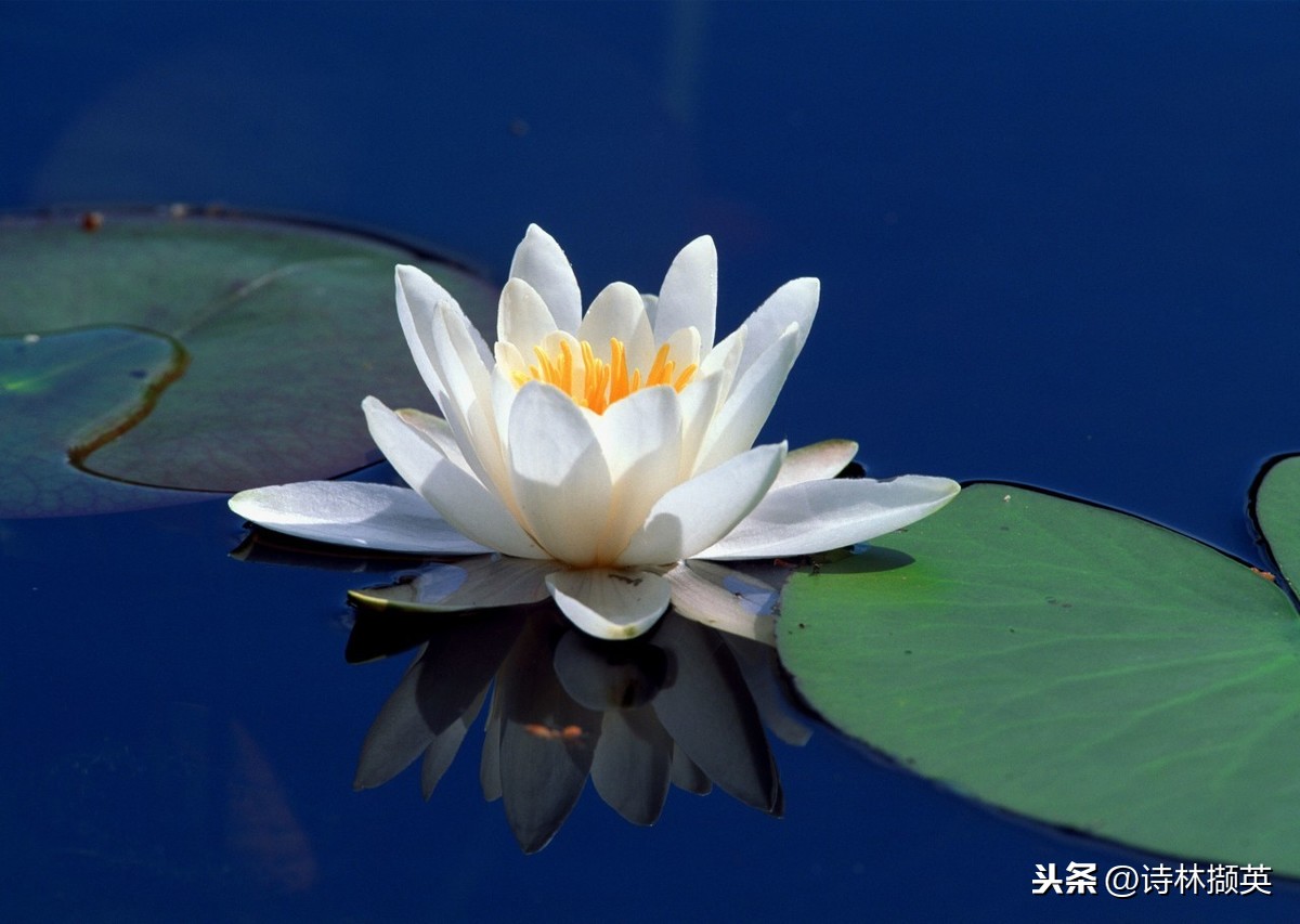 关于水的古诗有哪些（描写水的古诗名句） 第23张