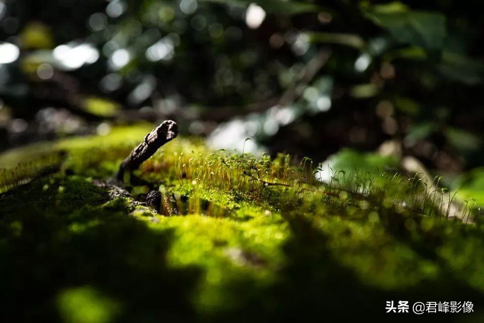 徕卡q2相机怎么样（徕卡Q2评测） 第17张