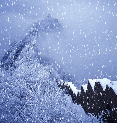 含有雪的诗句有哪些（雪的经典唯美诗句） 第7张