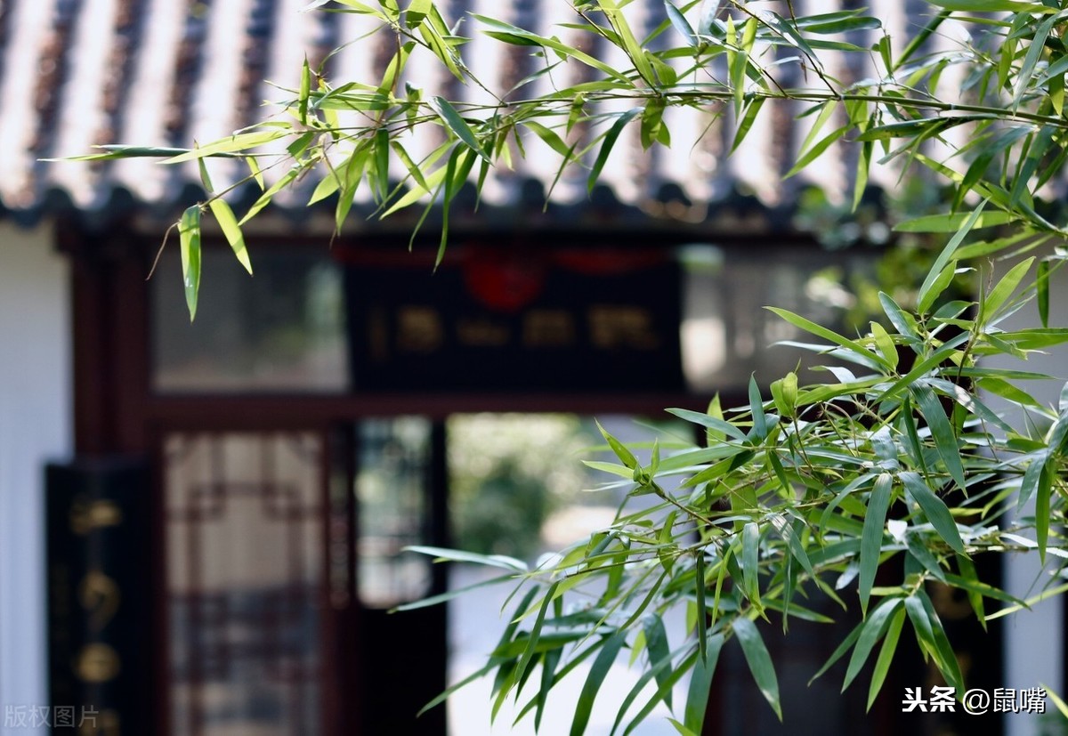 清平乐村居古诗（清平乐村居全诗意思） 第1张