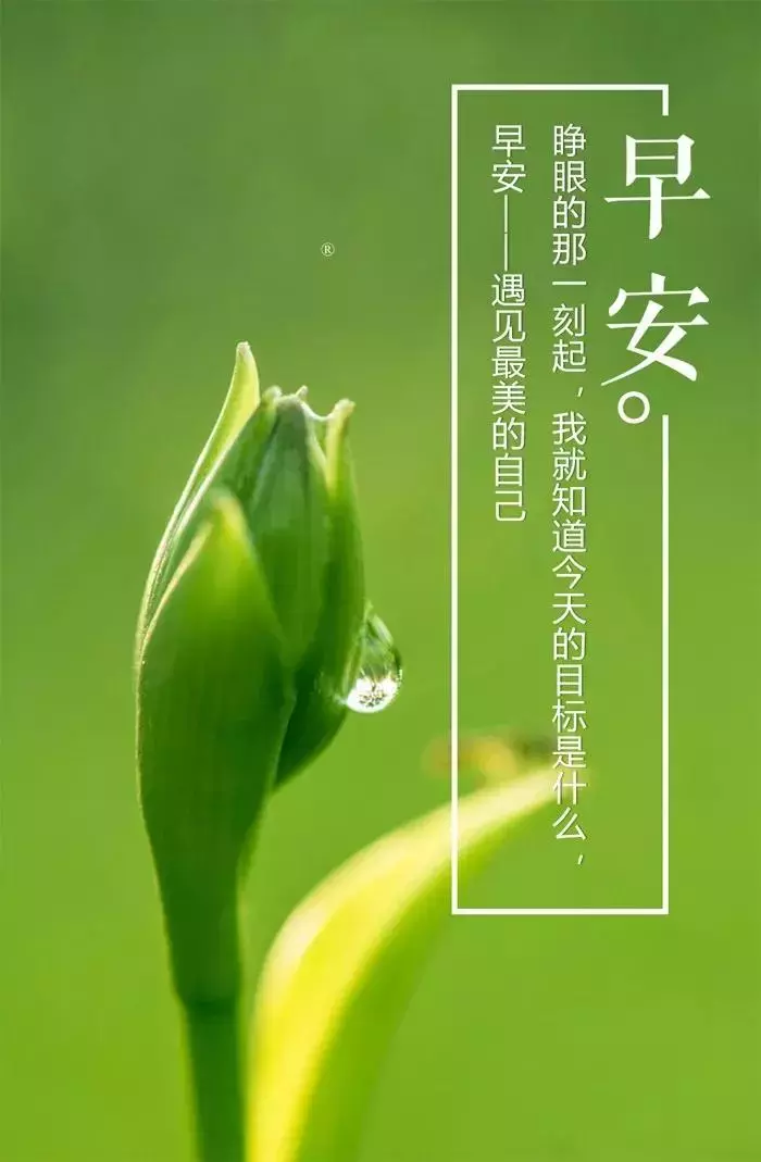 励志语录简短正能量图片（充满正能量的励志句） 第3张