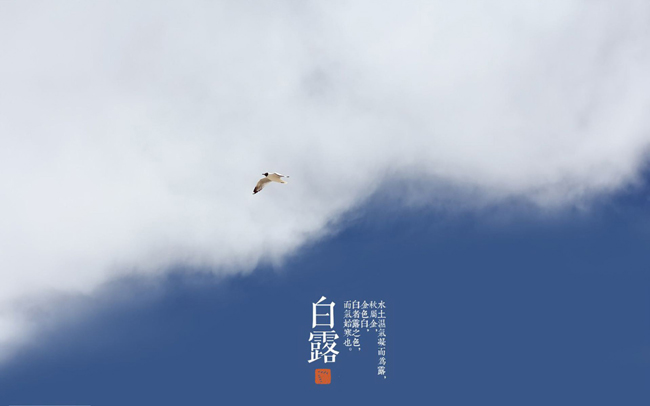 蒹葭苍苍白露为霜（蒹葭能体现爱情的句子） 第9张