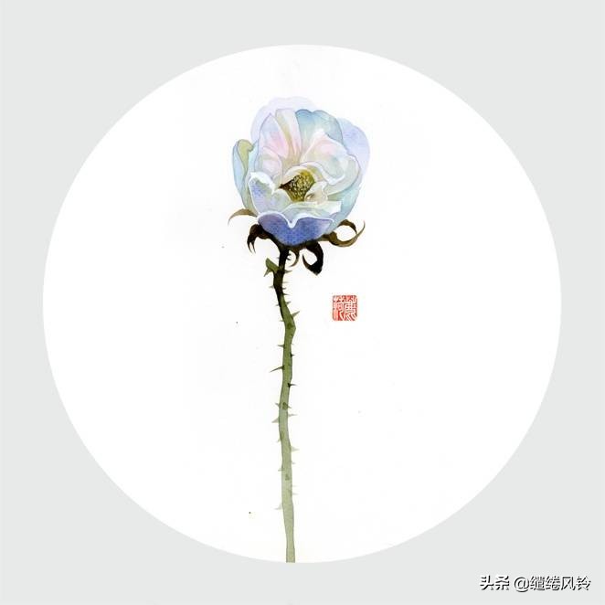 带花的诗句古诗大全（描写花的古诗名句） 第3张