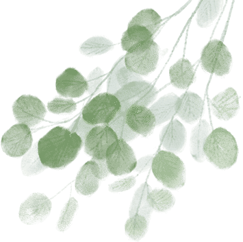 蝶恋花欧阳修原文注音（蝶恋花翻译及赏析） 第1张
