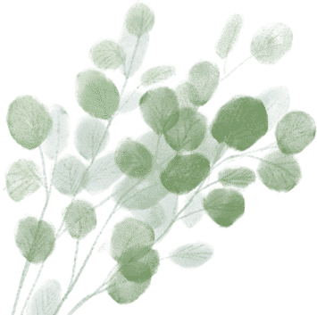 蝶恋花欧阳修原文注音（蝶恋花翻译及赏析） 第3张