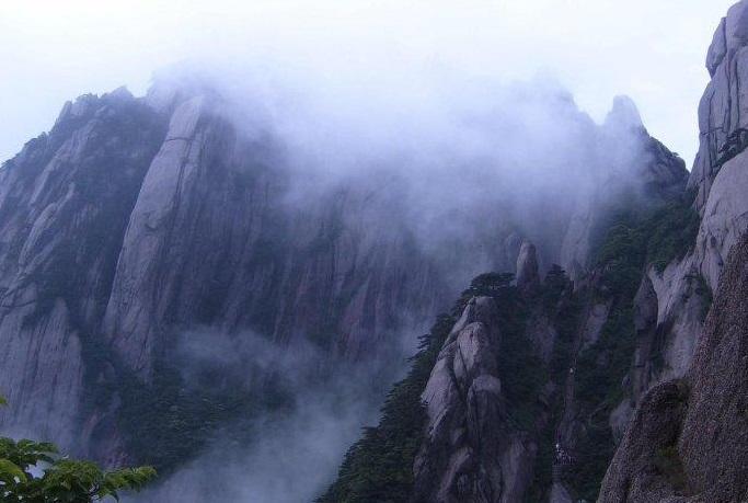 鸟鸣涧王维古诗意思（鸟鸣涧诗意赏析） 第3张