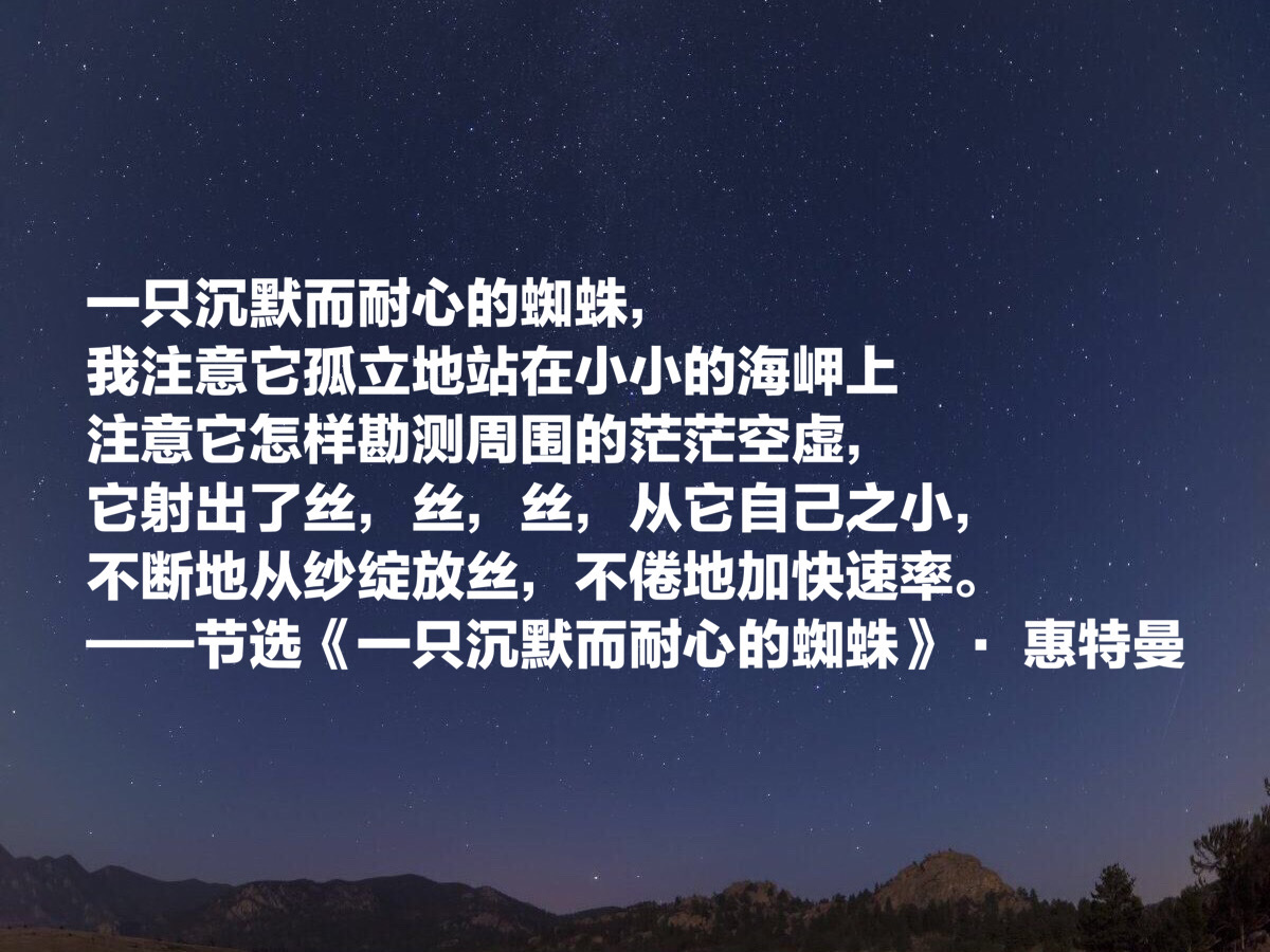 惠特曼的诗歌原文（惠特曼经典诗词欣赏） 第9张